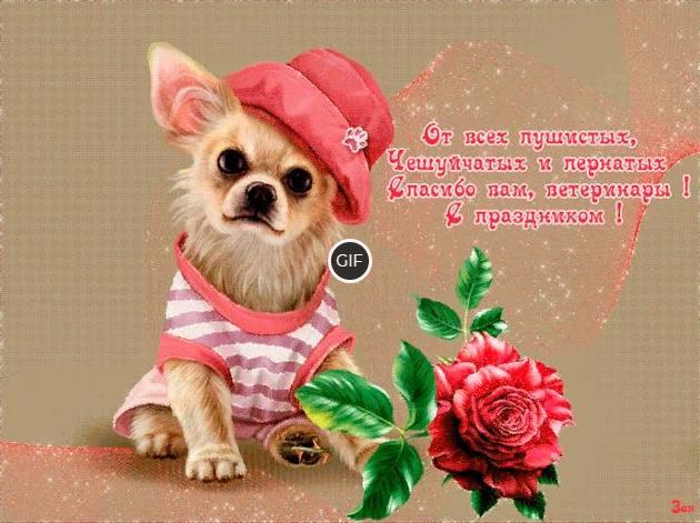 Гифки с днём Ветеринара