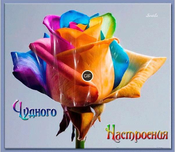 Гифка чудесного настроения