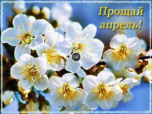 Гифка прощай апрель