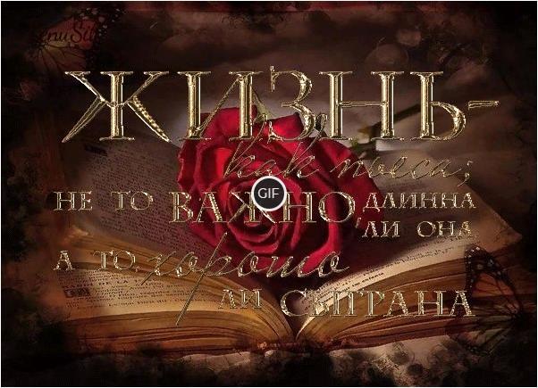 Цитаты про жизнь со смыслом короткие