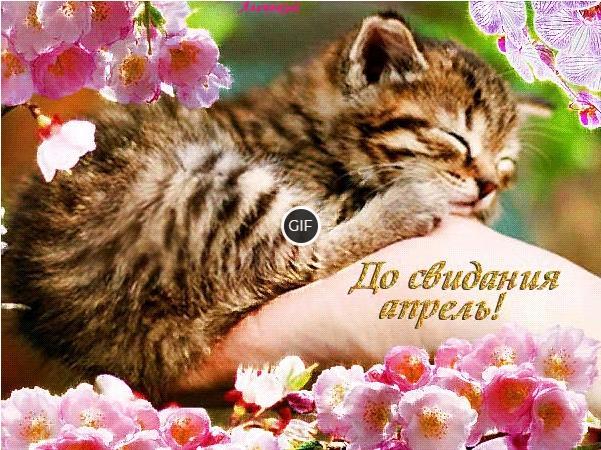 Гифки с последними Апрельскими днями (20 gif картинок)