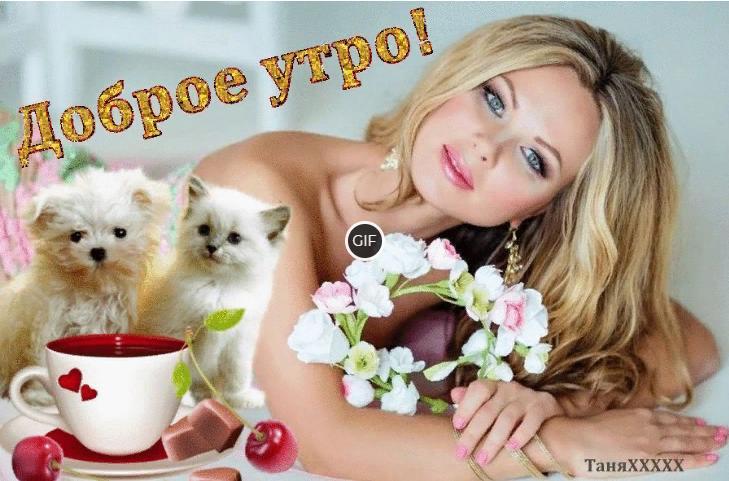 Доброго утра удачного дня и хорошего настроения гифки