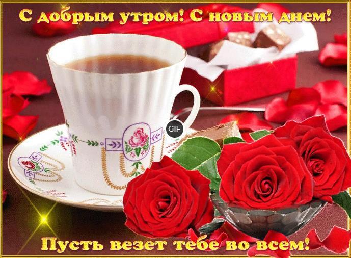 Скачать бесплатно гифки с добрым утром и хорошего дня