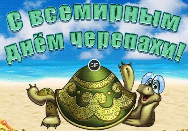 Гифки Всемирный день черепахи