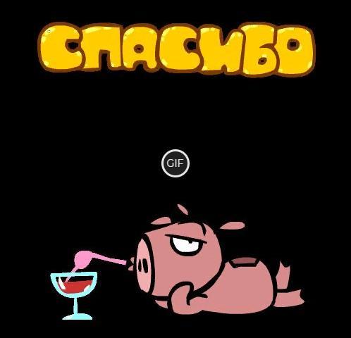 Скачать гифки для доната на стриме