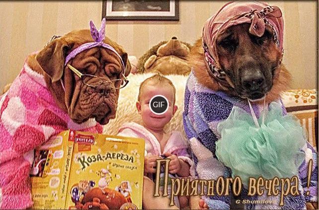 Добрый вечер картинки красивые необычные