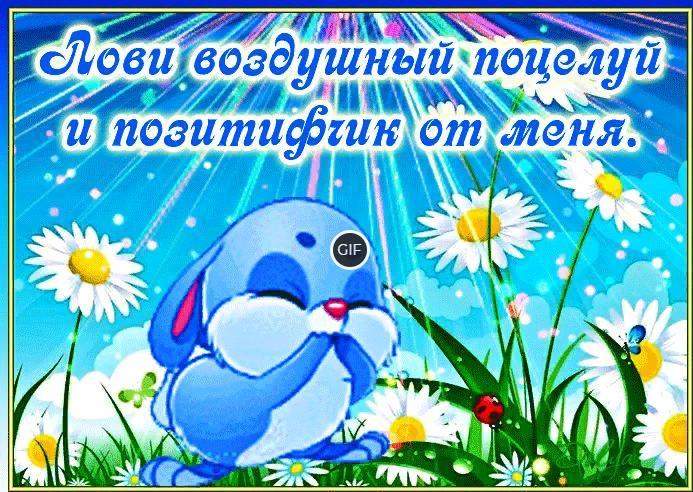 Весёлые гифки для поднятия настроения