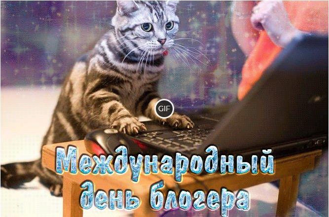Гифки с международным днем блогера