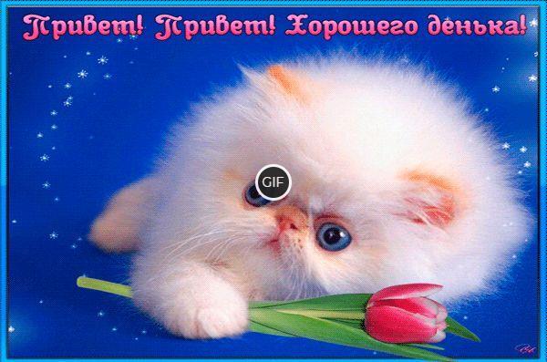 Гифка Привет, привет хорошего денька