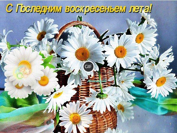 Гифка с последним воскресеньем лета