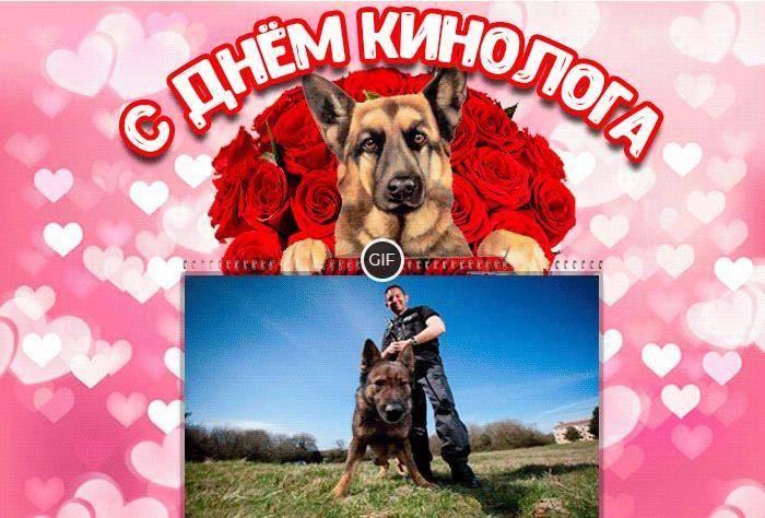 Гифки с днём кинолога