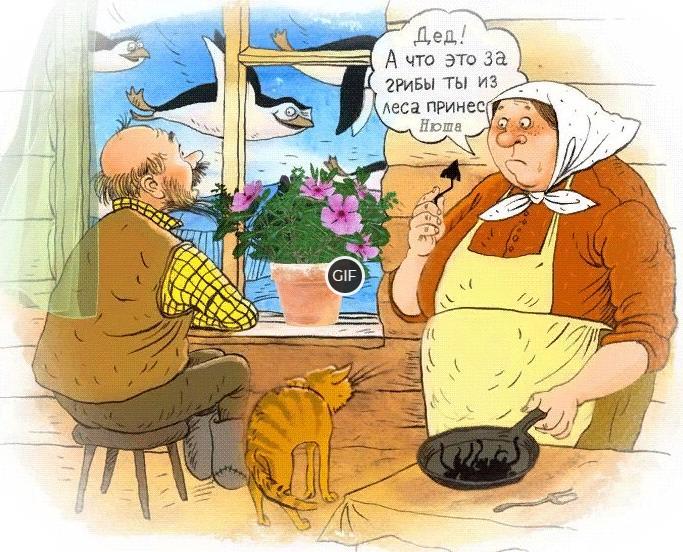 Ржачная гифка Дед! А что это за грибы ты из леса принёс ?