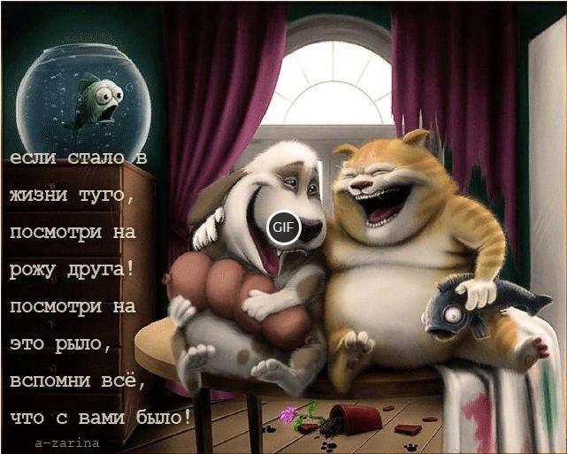 Смешная гифка про друзей со смыслом