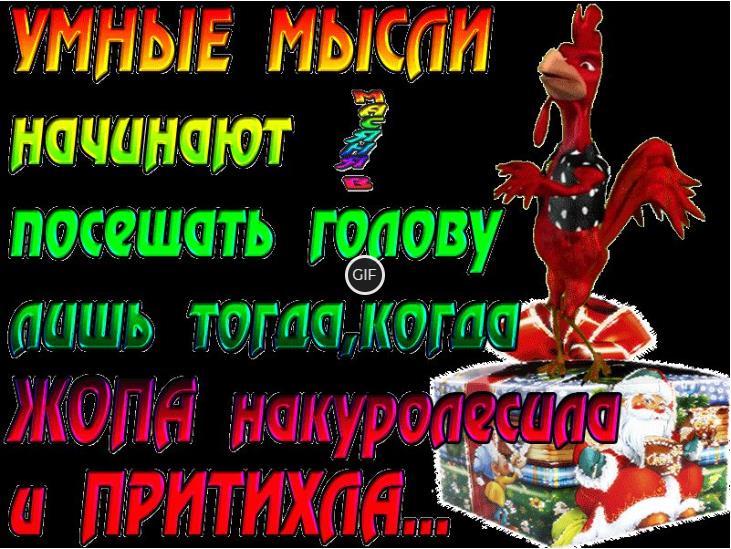 Картинки для поднятия настроения с надписями прикольные