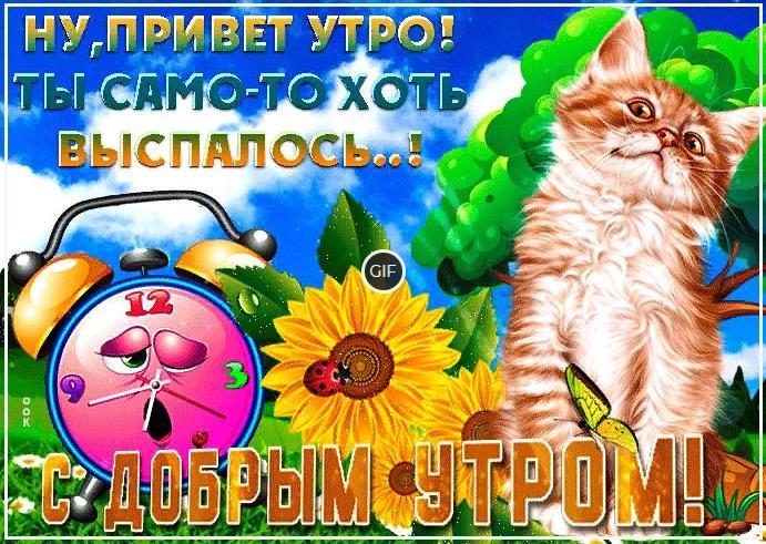 Открытки с добрым утром красивые