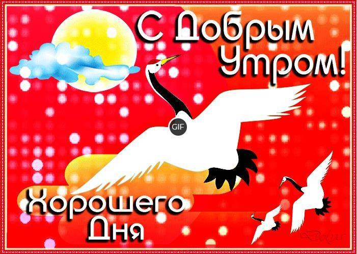 С добрым утром и хорошего дня картинки красивые необычные