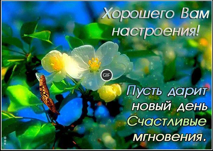 Гифка Хорошего вам настроения!