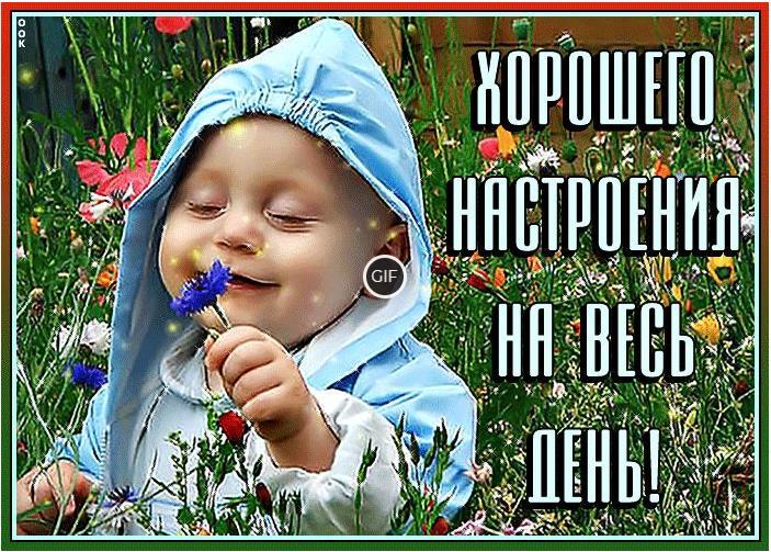 Гифка хорошего настроения на весь день!