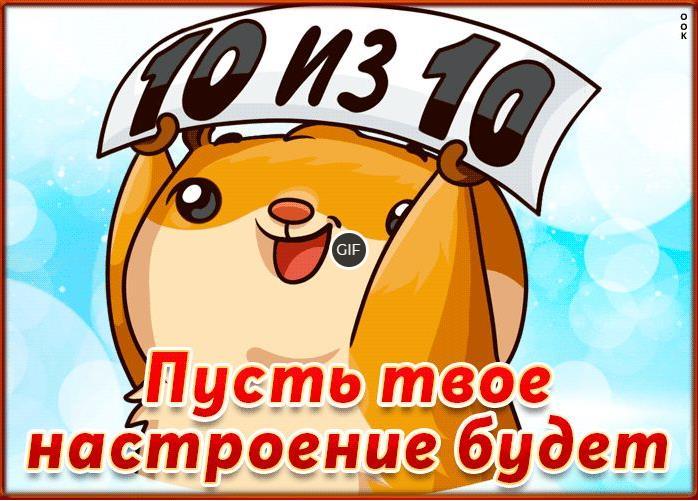 Позитивная гифка пусть твоё настроение будет 10 из 10