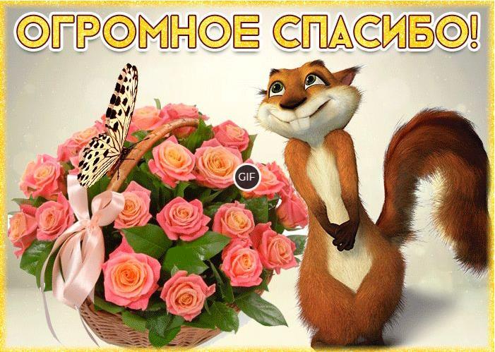 Гифка огромное спасибо