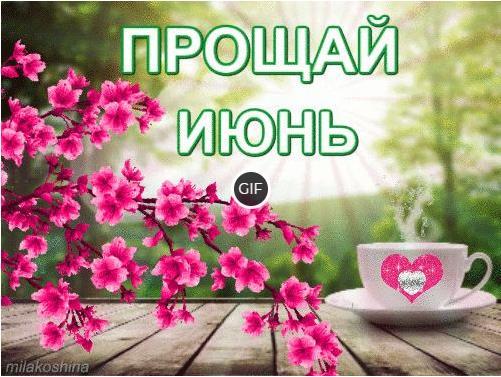 Гифки с последним днём Июня