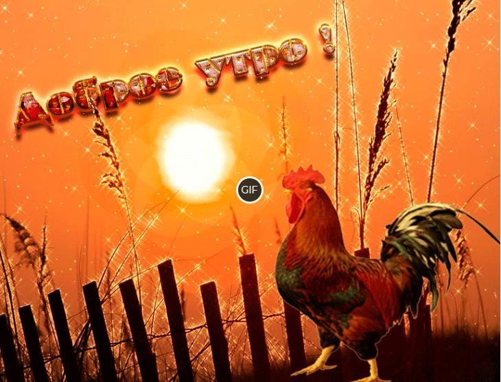 Открытки с добрым утром с животными