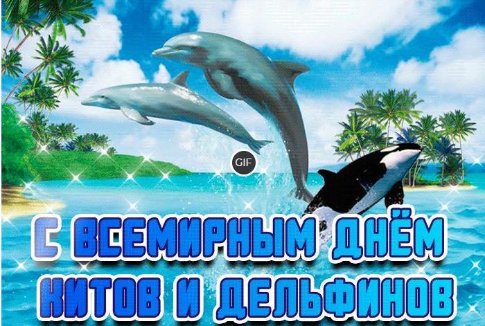Гифки с днём Китов и Дельфинов 23 Июля 2024 (22 gif картинки)