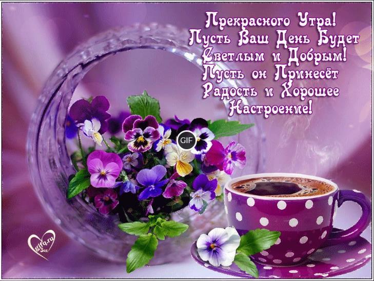 Картинки доброе утро и замечательного дня
