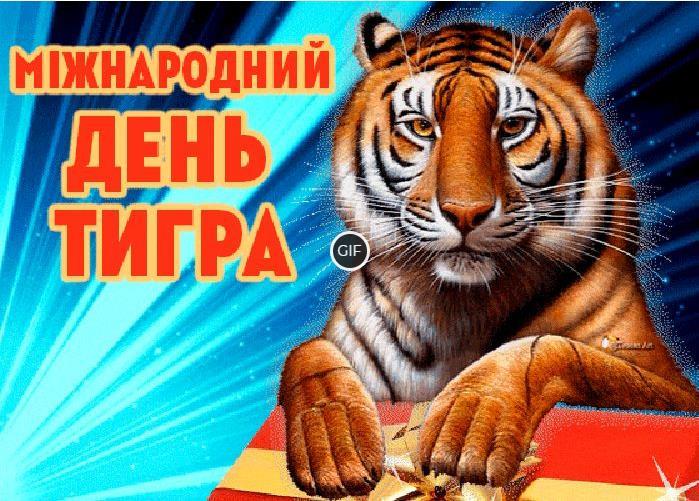 Гифки с международным днём Тигра 29 Июля (20 gif картинок)