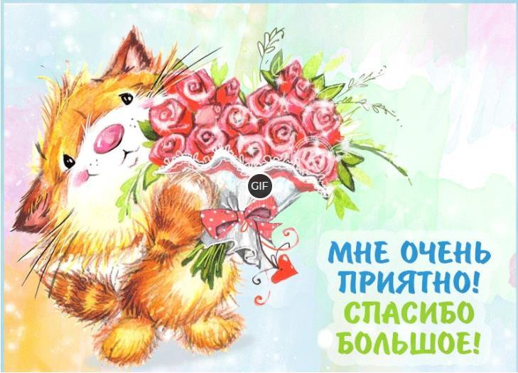 Гифка мне очень приятно! Спасибо большое!