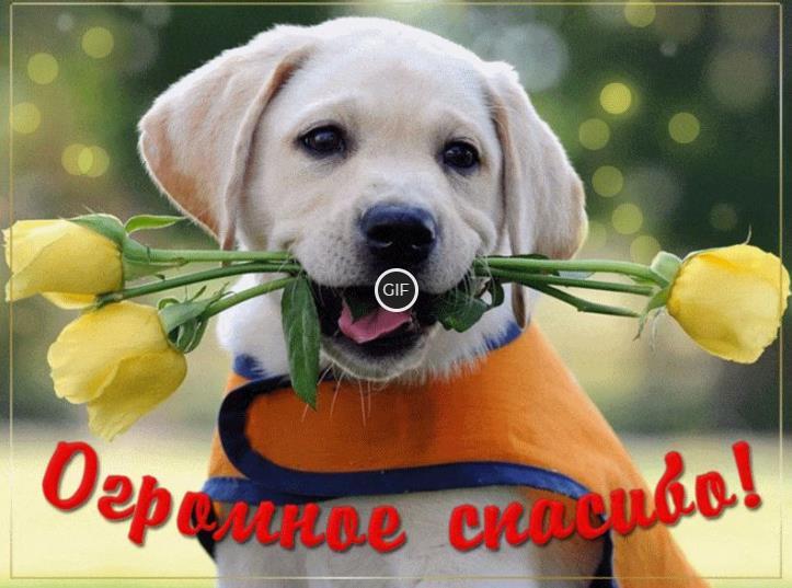 Анимация огромное спасибо