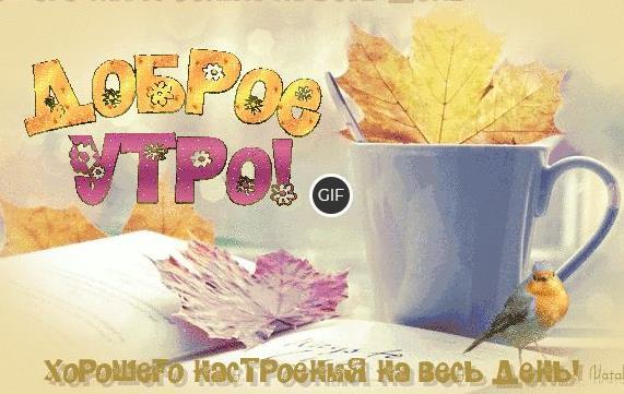 Гифки с добрым осенним утром прикольные