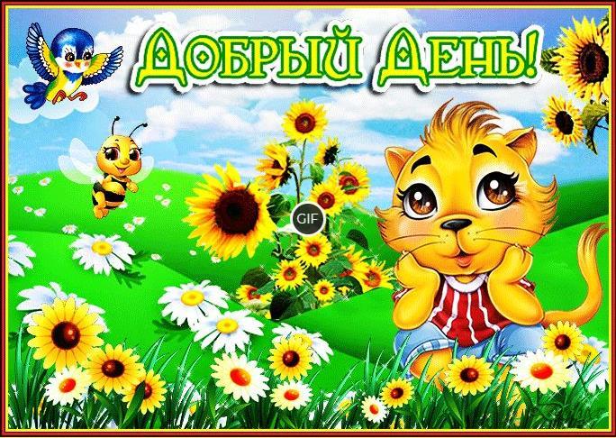 Добрый день гифки