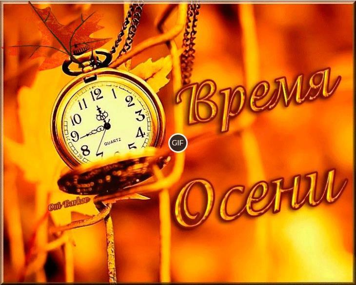 Прикольные осенние картинки