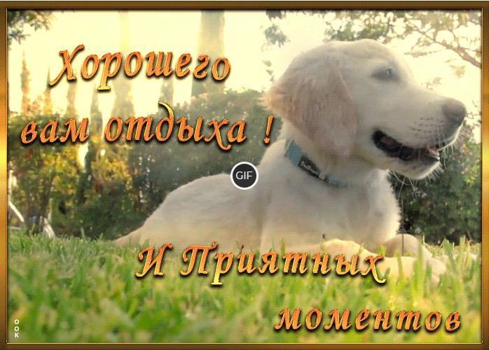 Открытки хороших выходных
