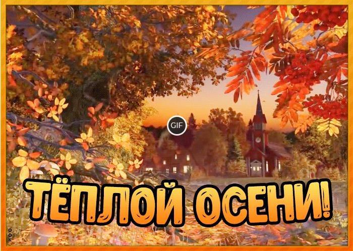 Красивые анимационные осенние картинки и открытки