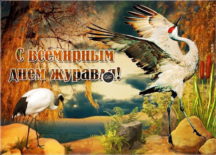 Гифки с Всемирным Днём Журавля