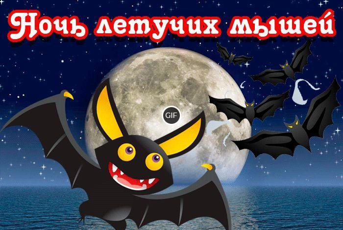 Гифки международная ночь летучих мышей
