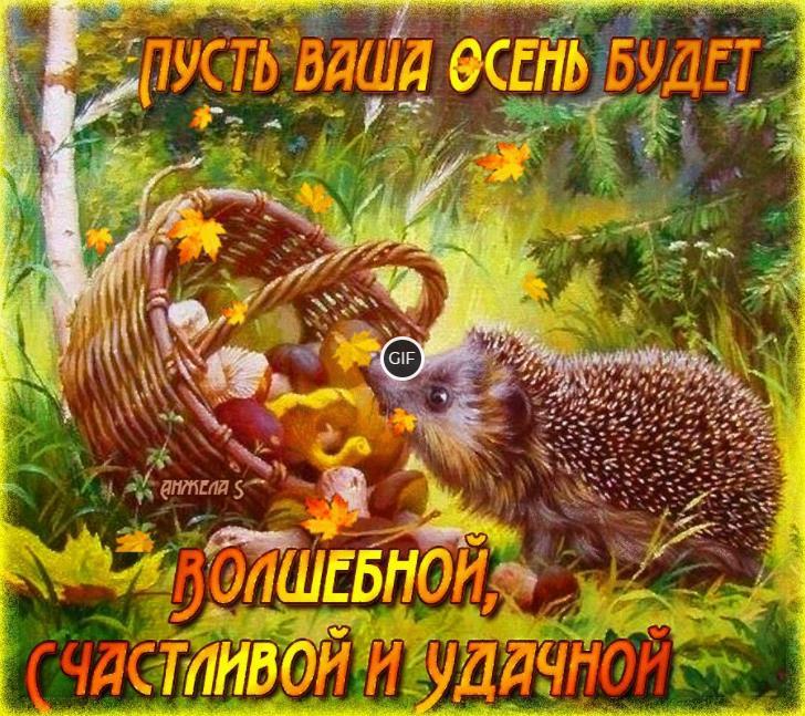 Осенние картинки красивые необычные