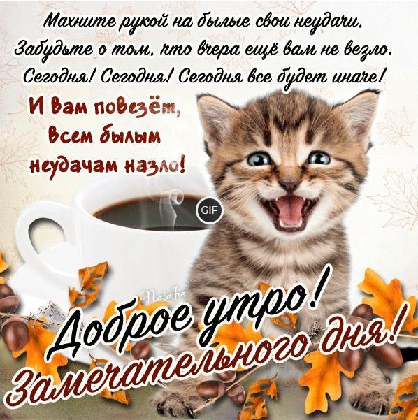 Gif картинки с осенним добрым утром