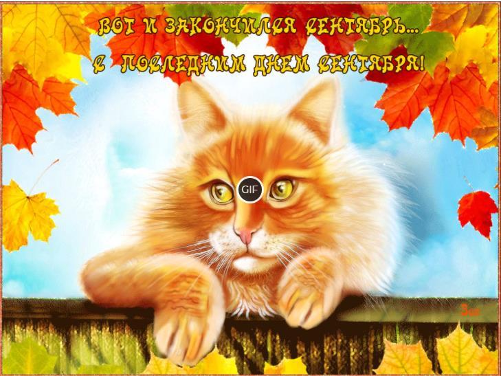 Гифки с последним днём сентября (27 gif картинок)
