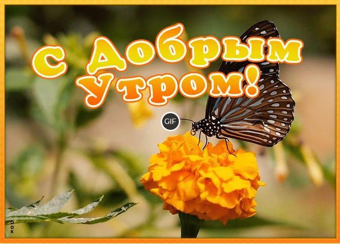 Анимационные открытки с добрым утром скачать бесплатно