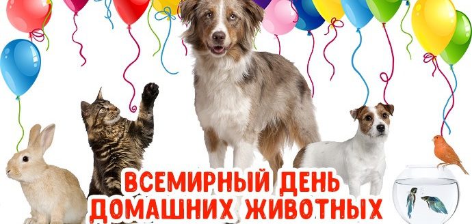 Гифки : Поздравления с всемирным днём животных 4 Октября 2023 (30 gif картинок)