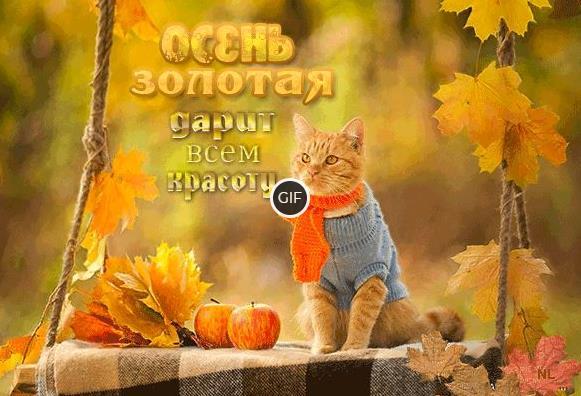 Прикольные анимированные осенние картинки и открытки с надписями
