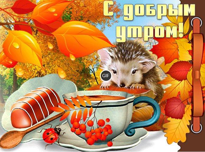 Открытки с пожеланием доброго осеннего утра