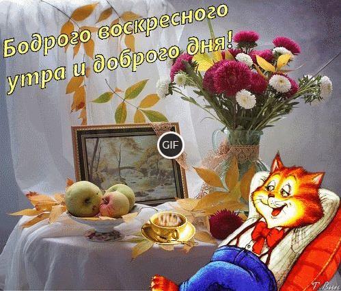 Доброе бодрое утро воскресенья гиф