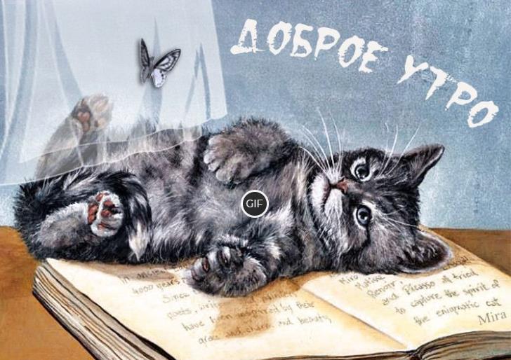 Гифки доброе утро с животными