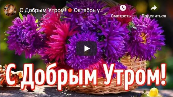 Видео открытки с пожеланием доброго утра