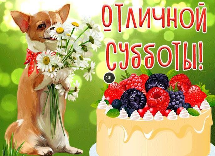 Гифки хорошего субботнего утра