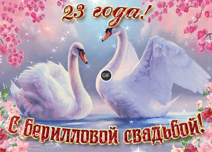 Гифки с 23 годовщиной свадьбы берилловая свадьба